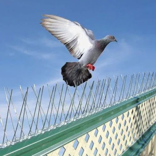 Anti Bird Spikes